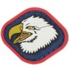 Eagle Head Morale Patch -Fashion Bag Store EGHDC detail